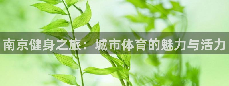 意昂4登录