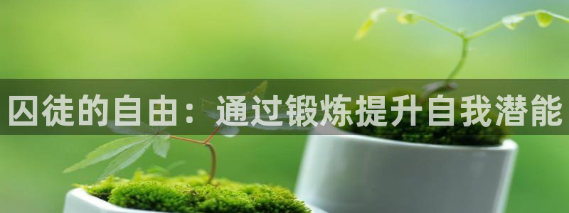 意昂4官方平台