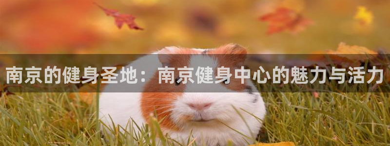 意昂4招商
