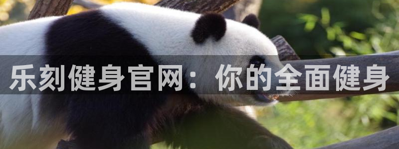 意昂4娱乐