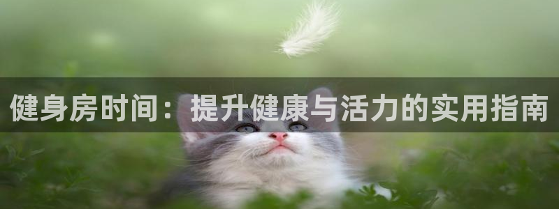 意昂4官方平台