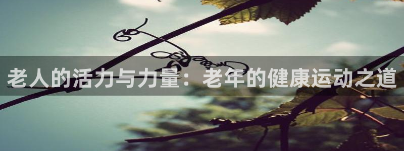 意昂4登录
