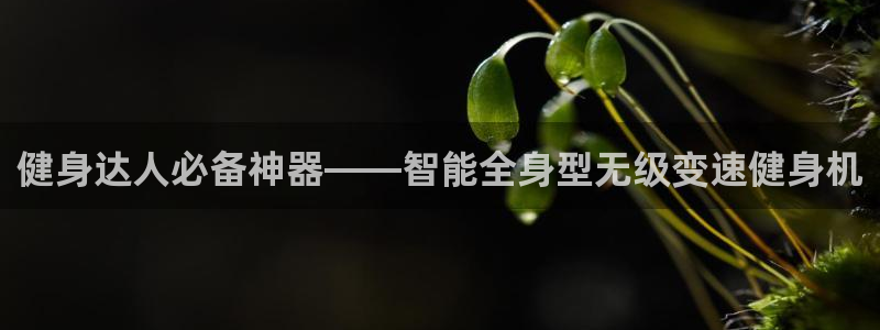 意昂4注册