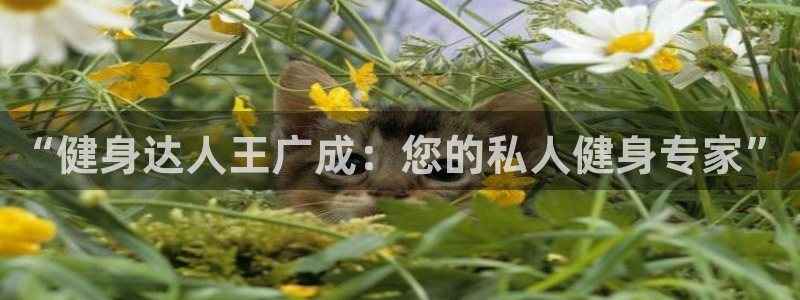 意昂4官方网站