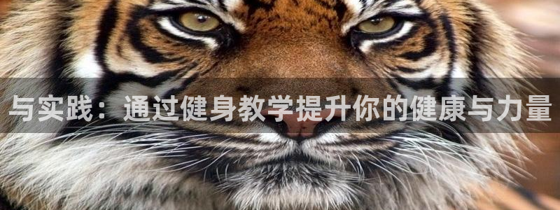 意昂4官方平台