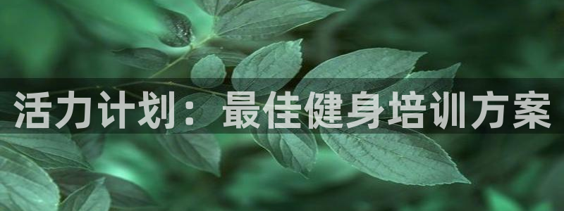 意昂4官方平台