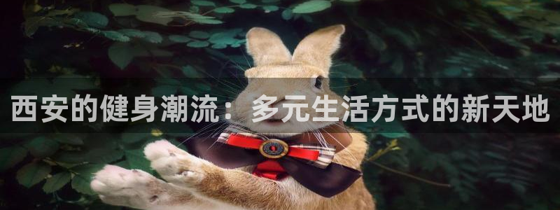意昂4招商