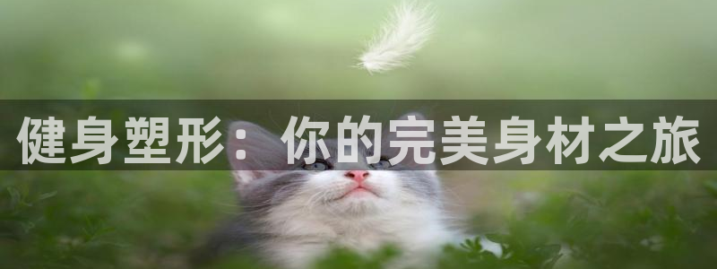 意昂4官网